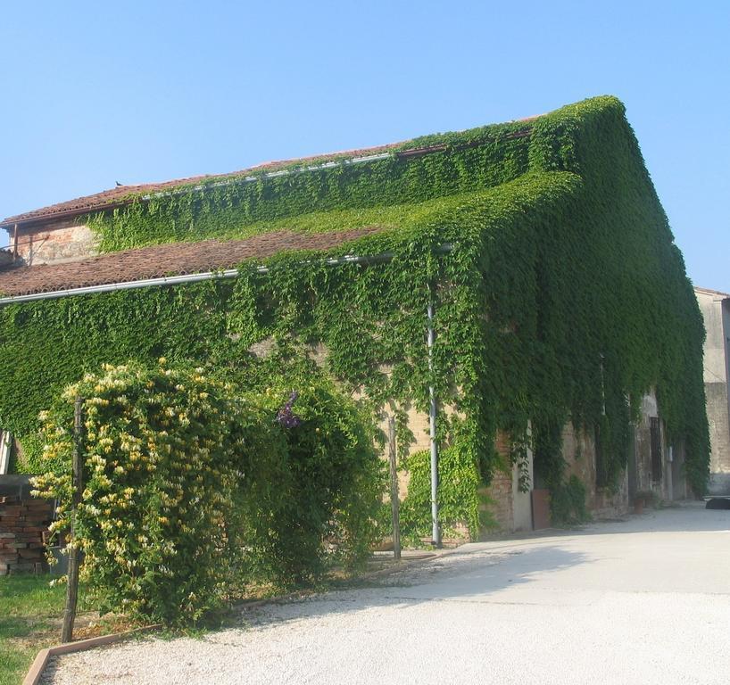 Agriturismo Ca Rossa Pegognaga 外观 照片