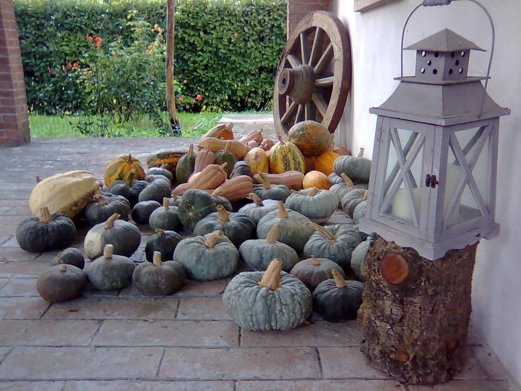 Agriturismo Ca Rossa Pegognaga 外观 照片